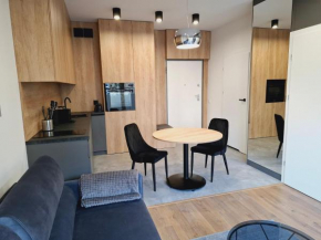Apartament EXPO z Wanną, Nowa Sukcesja, Bezpłatny Parking przy ulicy w nocy oraz weekend